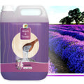 Lavendel - Ervaar een Zwoele Franse Avond met Warm and Tender Saunageur-Finesse Wellness BV