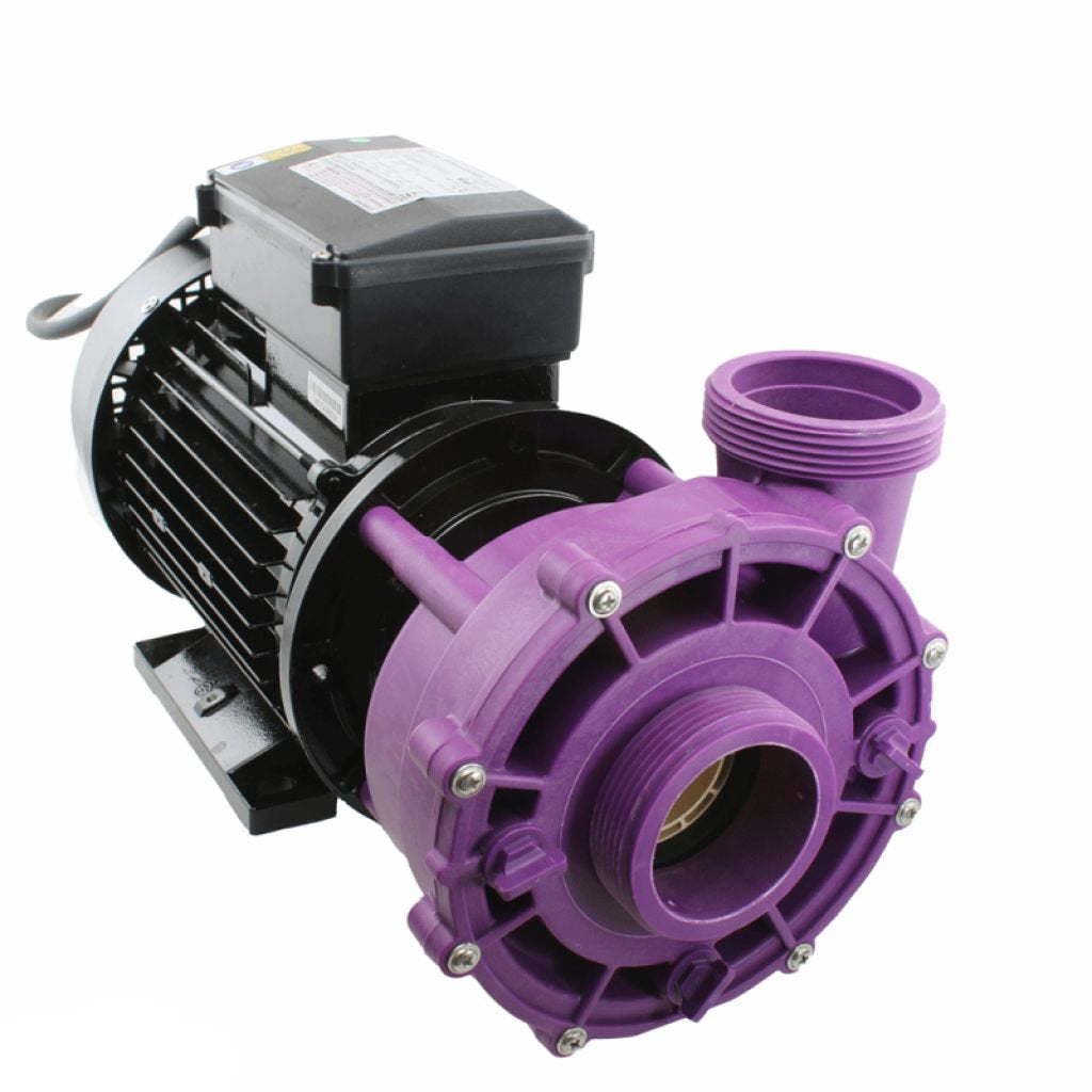 Vian OEM van LX LP200 Pump single speed 2.0HP