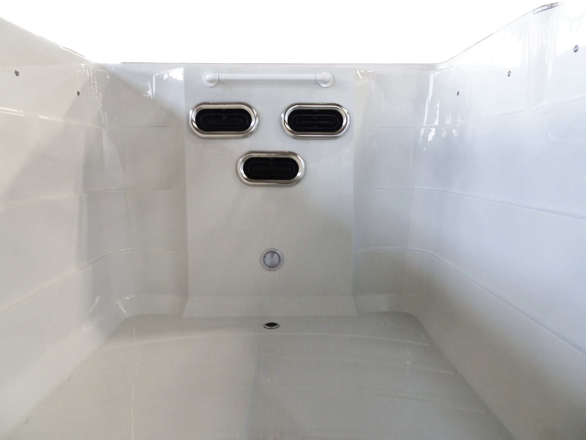 Platinum Spas Zelus Zwemspa-Finesse Wellness BV
